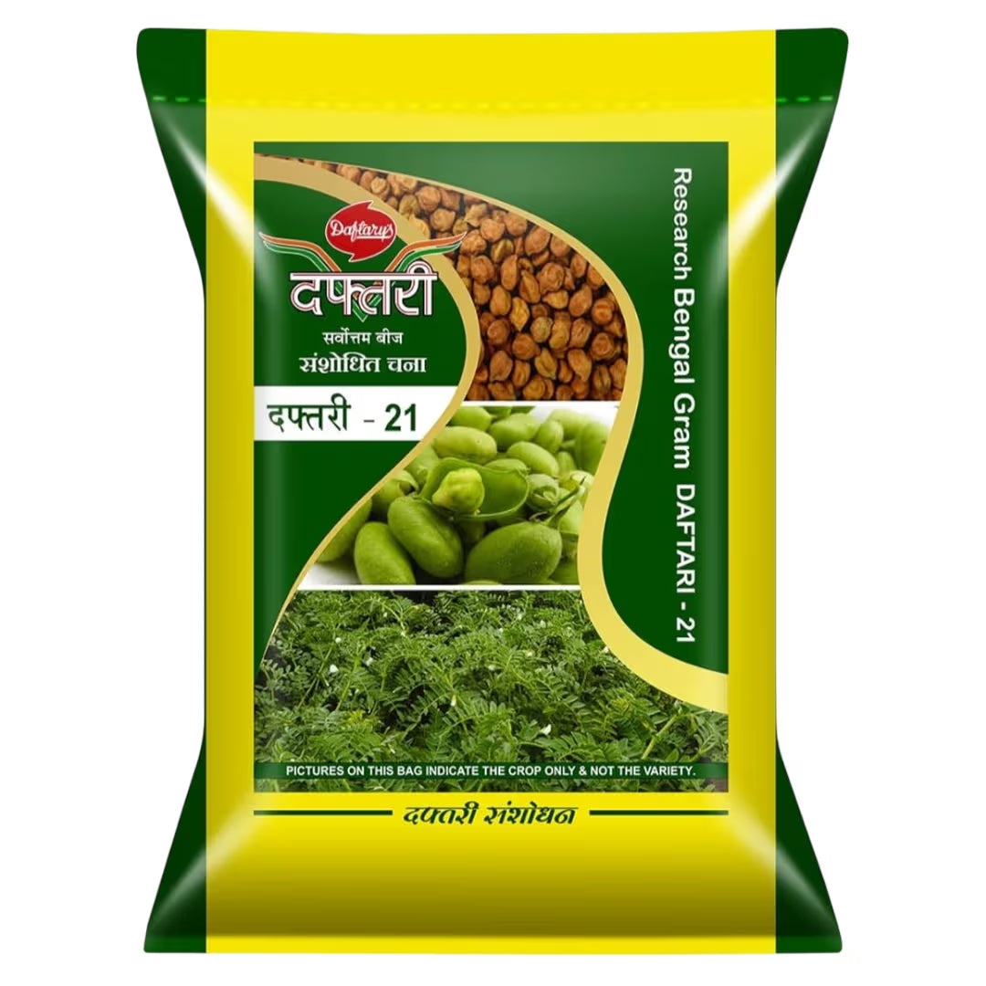 Daftari-21 Chana Seeds - Research Bengal Gram Seeds
